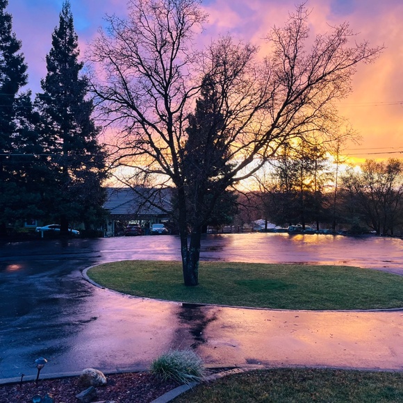 Meet your Posher, Eliana - Picture 2 of 3